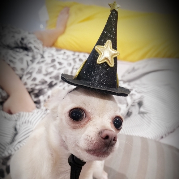 ๐ค๐ฎ๐ธ๐ฆโ ๐ค๐ฎ๐ธ๐ฆโ ๐ค - Picture 16 of 16